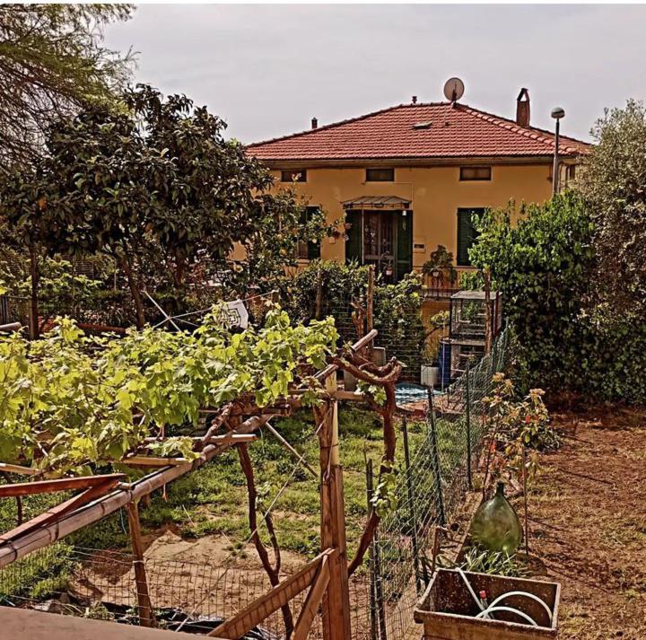 Casa Vacanze Toscana,Lago Di Massaciuccoli Extérieur photo