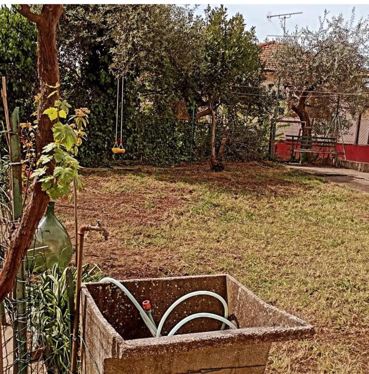 Casa Vacanze Toscana,Lago Di Massaciuccoli Extérieur photo