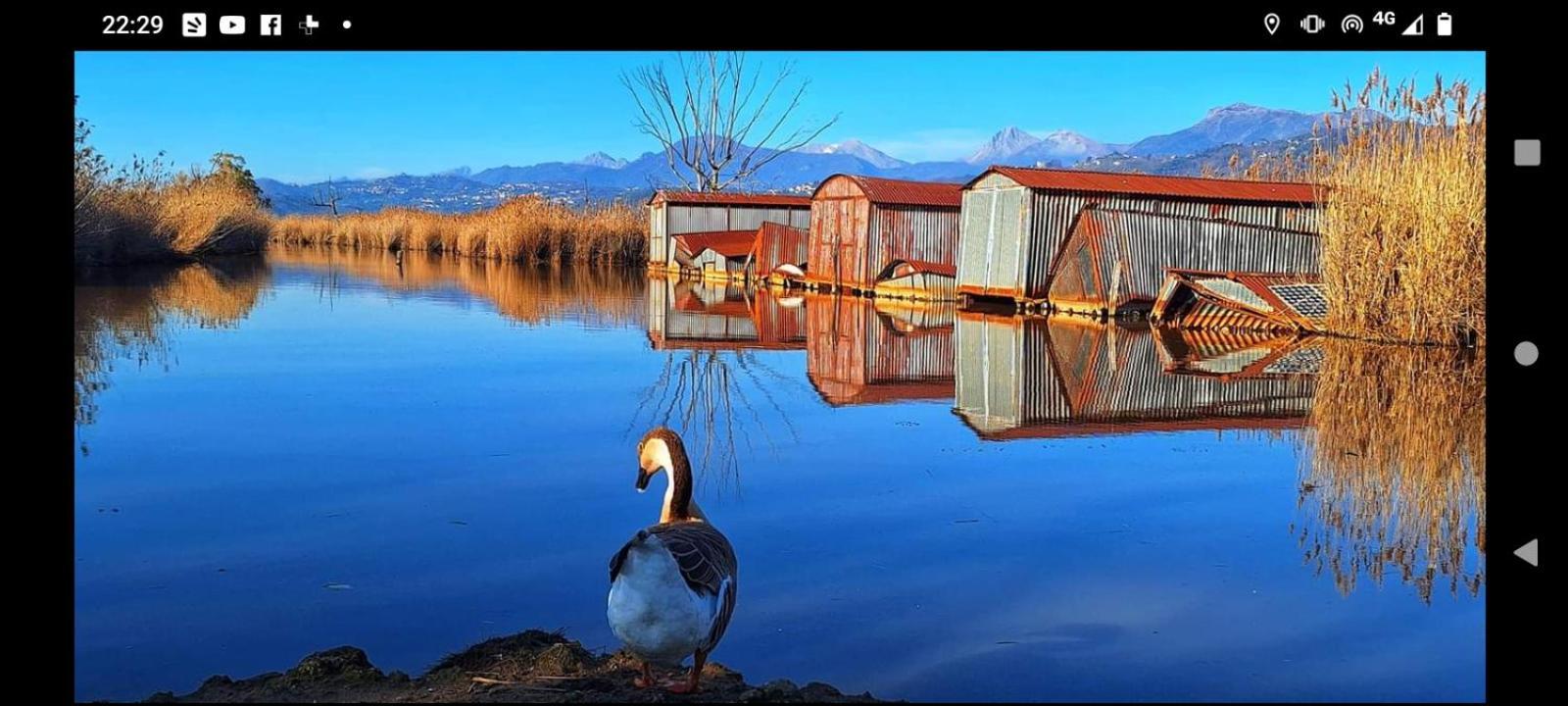 Casa Vacanze Toscana,Lago Di Massaciuccoli Extérieur photo